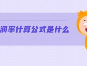 銷(xiāo)售利潤(rùn)率計(jì)算公式